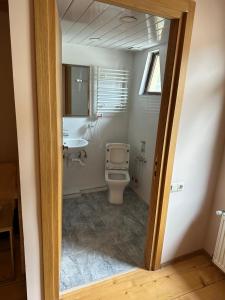 ein Badezimmer mit Toilette und Waschbecken in der Unterkunft Cors in Mestia in Mestia + 38 Fotos