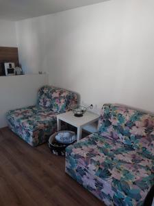 Afbeelding uit fotogalerij van VIKI apartman in Vršac