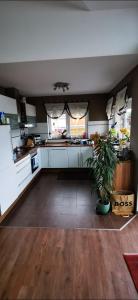 a kitchen with white cabinets and a potted plant at Haus mit schöner Aussicht WG in Münsingen