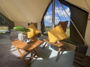 蘭韋爾普爾古因吉爾的住宿－Bell Tents at Llanfair Hall，一个带两把椅子和一张桌子的帐篷和植物