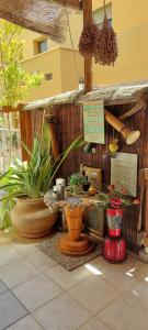 a display of vases and plants in a room at Hanna's Place - Great Location in Eilat