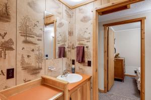 uma casa de banho com um lavatório e um espelho em Lakefront Cabin and Cottages em Greenville