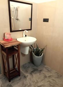 baño con lavabo, espejo y planta en Villa Music of the ocean, en Wadduwa