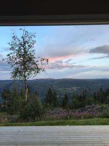 a window with a view of a tree in a field at Stor og moderne hytte med panoramautsikt in Liagardane