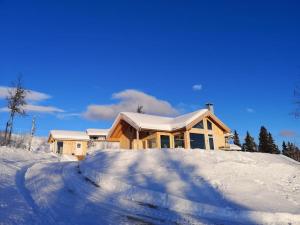 Stor og moderne hytte med panoramautsikt under vintern