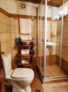 a bathroom with a toilet and a shower at Παραδοσιακό Σπίτι στο Μονοδένδρι in Monodendri