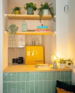 una cocina con un objeto amarillo en un mostrador con plantas en Casa Xava Valencia, en Valencia