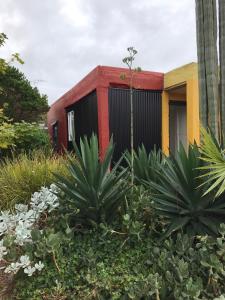 un edificio rojo y amarillo con plantas delante en Sinclair Cottage, en Port Lincoln