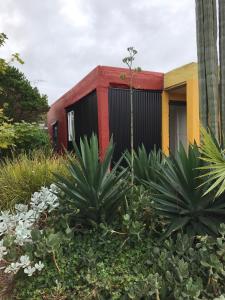 a red and yellow building with plants in front of it at Sinclair Cottage in Port Lincoln