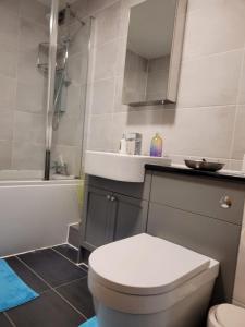 a bathroom with a toilet and a sink and a tub at Comfortable Two Bedroom Modern Apartment in London