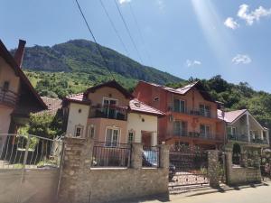 eine Gruppe von Häusern mit einem Berg im Hintergrund in der Unterkunft VILA ANA in Băile Herculane