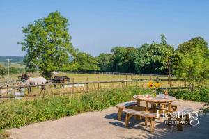 a picnic table and a horse in a field at Walkers Hideaway In The Heart Of The Chilterns With Incredible Views in Henley on Thames