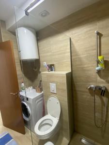 a small bathroom with a toilet and a shower at Pirlitor Mountain Apartment in Žabljak