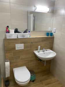 Łazienka w obiekcie Apartmány Mikulčice