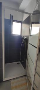 une petite salle de bain avec douche et fenêtre dans l'établissement 2 Pieces indépendant Peone-Valberg, à Péone