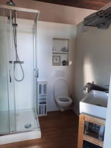 a bathroom with a shower and a toilet and a sink at Dolce far niente in Bruges