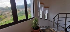 Φωτογραφία από το άλμπουμ του Hazmurat Hotel στο Αργυρόκαστρο
