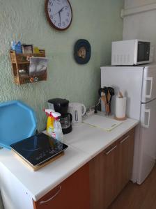 a kitchen with a counter with a laptop on it at Maja Apartment in Višnjan