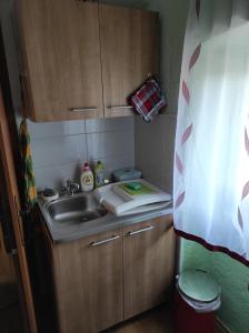 eine kleine Küche mit einer Spüle und einer Arbeitsplatte in der Unterkunft Maja Apartment in Višnjan