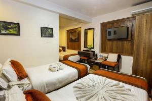 TV a/nebo společenská místnost v ubytování Hotel Himalayan Oasis