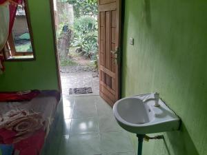 a green bathroom with a sink and a door at Jhony's Backpacker-Guest House only stay here book treking with us in Bukit Lawang +194 photos