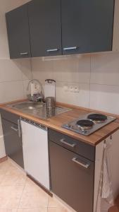 uma cozinha com um fogão e um lavatório em Apartmán Anglický roh em Františkovy Lázně