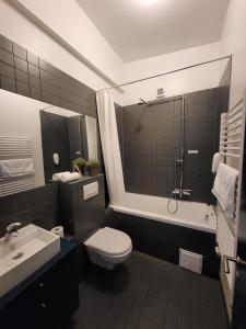 y baño con aseo, lavabo y ducha. en Astro Apartments en Reikiavik
