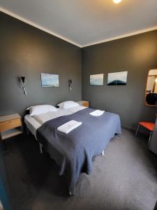 een slaapkamer met een groot bed in een kamer bij Astro Apartments in Reykjavík
