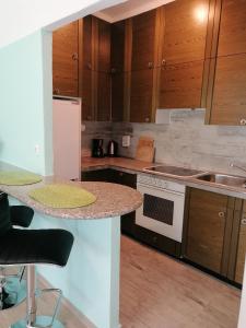 Dapur atau dapur kecil di Apartma Angi