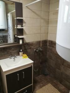 a bathroom with a sink and a shower at Brvnare Libero TARA in Sekulić 