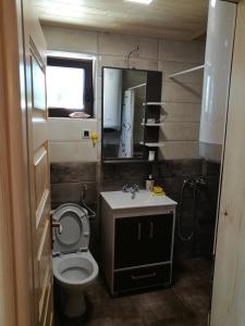 ein Badezimmer mit einem WC, einem Waschbecken und einem Spiegel in der Unterkunft Brvnare Libero TARA in Sekulić 