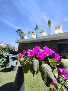 阿奇雷亞萊的住宿－Luxury B&b Euphorbia，花瓶里花粉的植物