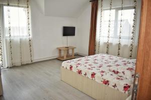 a bedroom with a bed and a television in it at Cazare Antonia in Curtea de Argeş