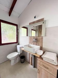 a bathroom with a white toilet and a sink at Mazurek domek letniskowy do wynajęcia na mazurach in Kierwik