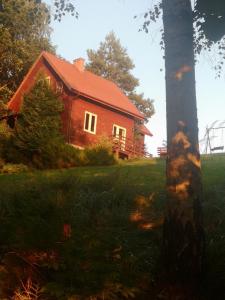 czerwony dom z drzewem przed nim w obiekcie BieszczadzkaDolina w mieście Zagórz