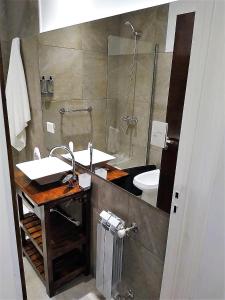ein Bad mit einem Waschbecken, einer Dusche und einem WC in der Unterkunft Del Cerro Departamentos x 4 in El Calafate