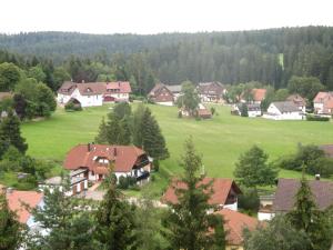 a village with houses and a green field at Ferienwohnung Schwarzwald Oase Kniebis in Kniebis