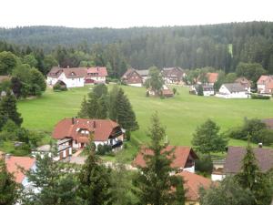 Příroda nedaleko apartmánu