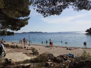 a group of people on a beach near the water at Apartmani Drage in Drage