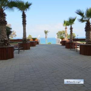 a patio with palm trees and the ocean in the background at Nitza Seaview Apartments in Netanya