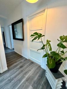 ein Zimmer mit einer Pflanze auf einem Tisch neben einer Tür in der Unterkunft Shoreditch Rooms R1 in London