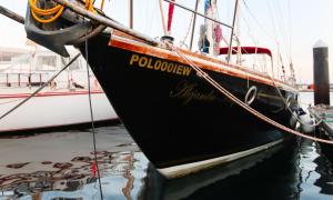 Fotografie z fotogalerie ubytování Alejandro Magno v destinaci Ponta Delgada
