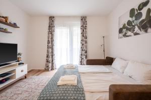 - un salon avec un canapé et une télévision dans l'établissement Peter Apartment with terrace, à Budapest