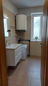Kuchyň nebo kuchyňský kout v ubytování Apartmán Lipno s výhledem na jezero + 28 fotografií