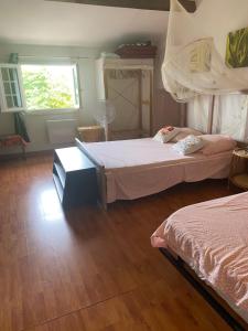 a bedroom with two beds and a window at Le Séville au calme climatisé bien pour cyclistes in Béziers