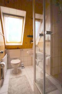 y baño con ducha, aseo y lavamanos. en Tetenshof für Pferdeliebhaber, en Westerhever