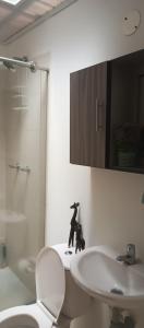 een badkamer met een witte wastafel, een toilet en een spiegel bij Donde Memo in Santa Rosa de Cabal