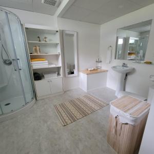 ein Bad mit einer Dusche und einem Waschbecken in der Unterkunft La Maison Kelner in Saint Ludger de Milot