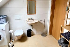 mała łazienka z umywalką i toaletą w obiekcie Nice Apartment in Zwickau w mieście Zwickau