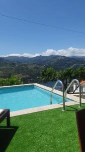 einen Pool mit grünem Gras und Aussicht in der Unterkunft Varanda Do Abelhal in Santa Cruz do Douro